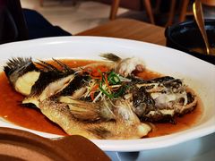 -青梅酒肆PLUS(长白仙岛北路店)