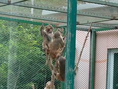 -水上乐园·欢乐世界