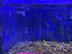 -珍宝轩海鲜火锅(碧湖大厦店)