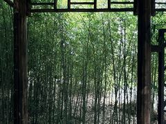 -苏州上方山国家森林公园