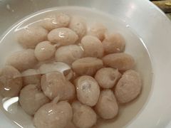 -章记正宗南岗鱼蛋火锅