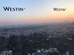 -广交会威斯汀酒店