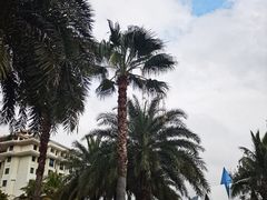 -惠州金海湾嘉华度假酒店