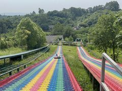 -黄龙溪欢乐田园