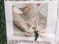 -攀枝花公园