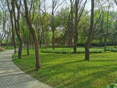 -玲珑塔公园