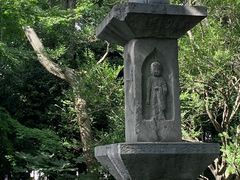 -汇龙潭