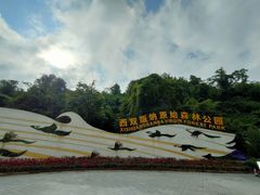-西双版纳原始森林公园