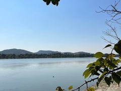 -羊山湖公园
