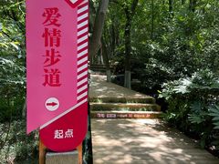 -天目湖山水园