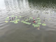 -重庆彩云湖湿地公园