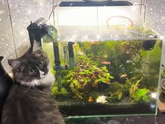 -小叮当动物医院·骨科·眼科