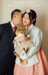 -美薇亭婚礼顾问