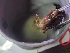 -三亚太阳湾柏悦酒店