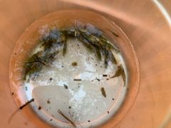 -碓臼峪自然风景区