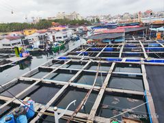 -蓝湾碧波·老字号·疍家非遗海上餐厅