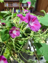 -今日陶艺(富力广场店)