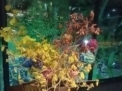 -阿伟海鲜楼·福建菜(延寿店)