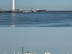 -上海吴淞炮台湾国家湿地公园