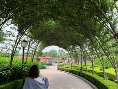 -CHANEL(恒隆广场店)