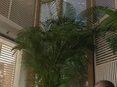 -金海湾自助餐厅(金陵饭店)