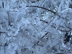 -沕沕水生态风景区