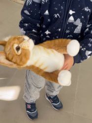 -IMON·HANSA潮玩玩偶毛绒玩具(通州万象汇店)