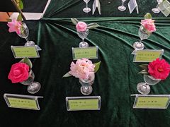 -金花茶公园