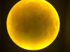 -深圳独角兽星空艺术馆