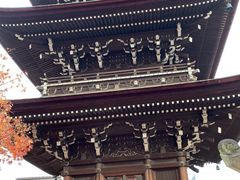 -医王山·飞騨国分寺