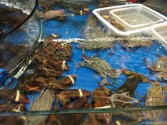 -一麦·龙岛(上海青浦店)