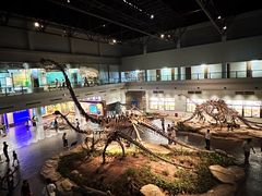 -自贡恐龙博物馆