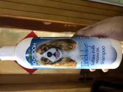 -PAWTOY爪e玩偶店(天兴罗斯福店)