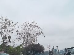 -野狸岛