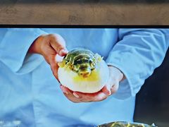 -肆月河豚·新淮扬(金融街店)