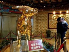 -华西村