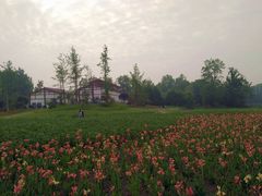 -桤木河湿地公园