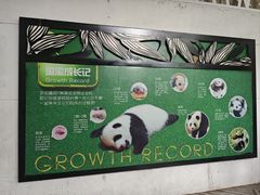 -成都动物园