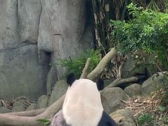 -河川生态园