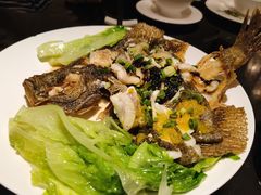 三味多宝鱼-桃源春晓中餐厅 TaoYuan Restaurant