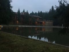 -武陵山森林公园
