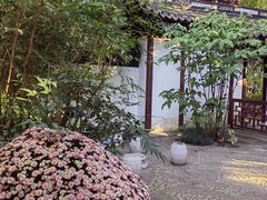 -汇龙潭