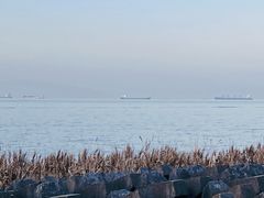-上海滨江森林公园