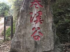 -大屏嶂森林公园