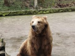 -贵州森林野生动物园