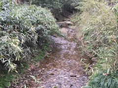 -法云安缦酒店