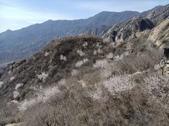 -北京凤凰岭