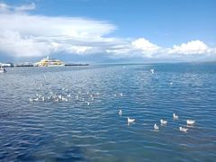 -青海湖国家重点风景名胜区