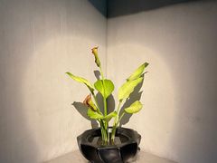 -穹六人间 people 6(岳阳路店)