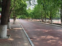 -辽宁大学(崇山校区)